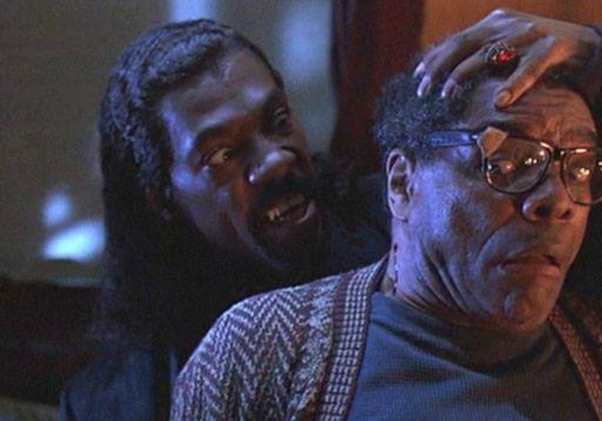 vampire in brooklyn header
