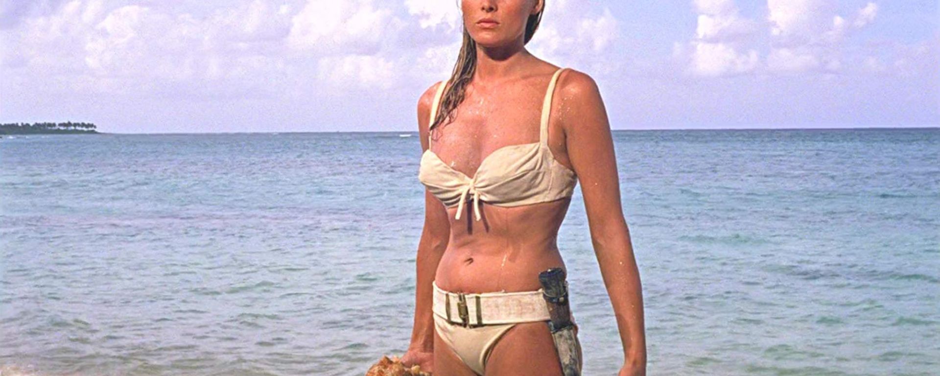 dr no header image