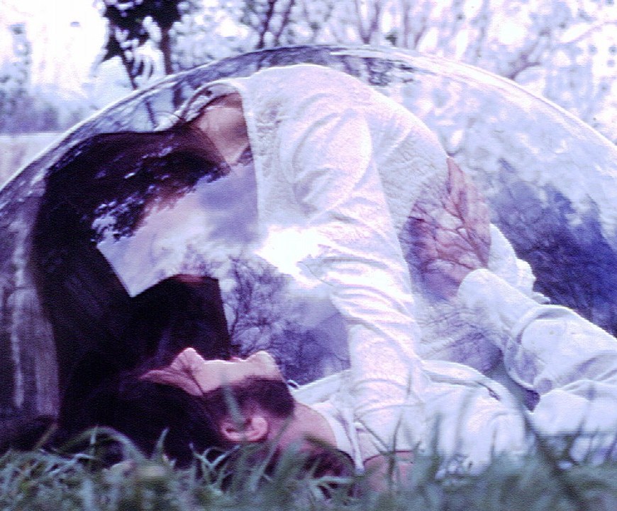 eggshells header