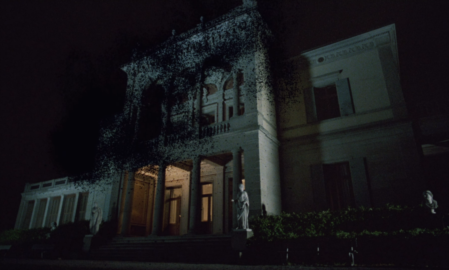 phenomena header