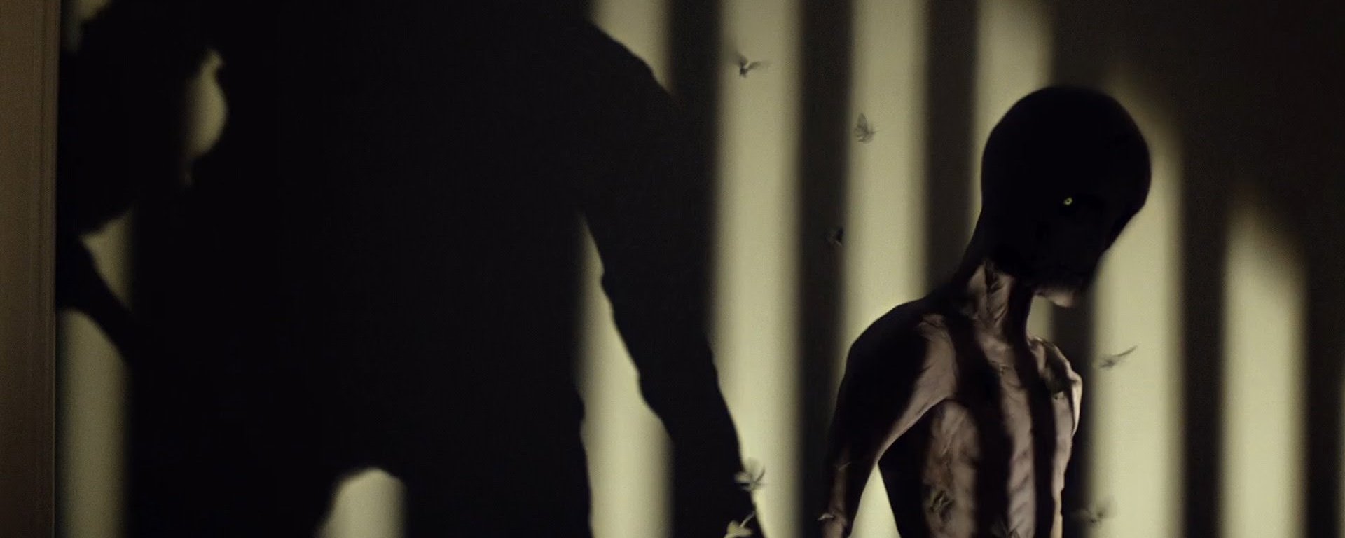 before i wake header