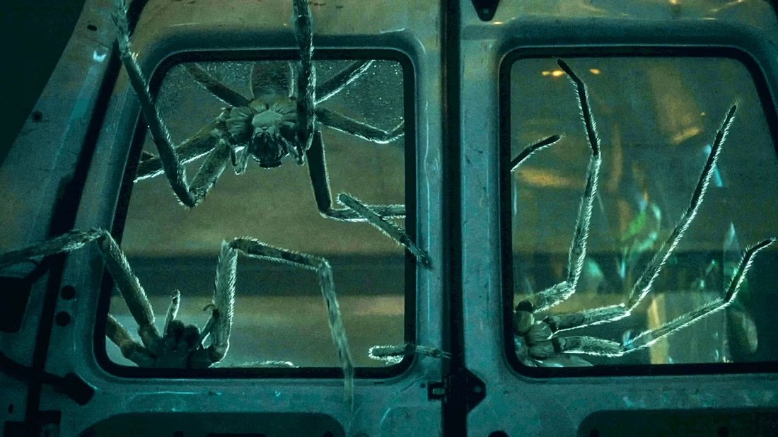 infested header