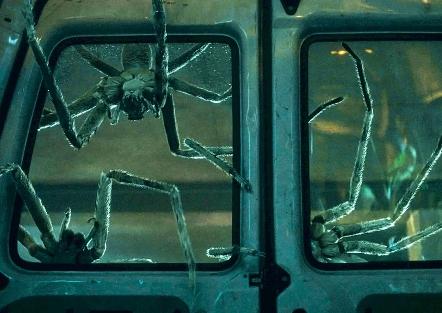 infested header